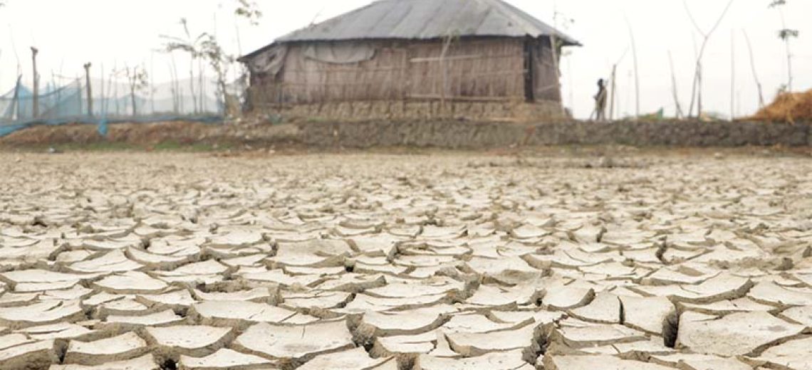 climate change effect